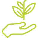 Organic Cleaning Solutions.